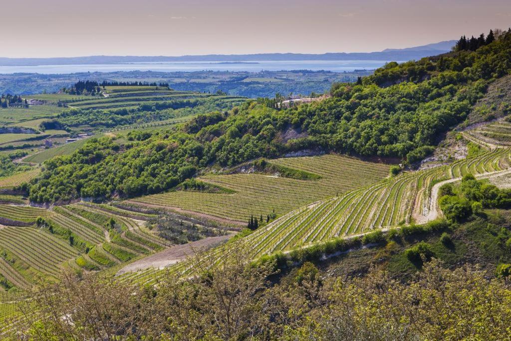 مبيت وإفطار SantʼAmbrogio di Valpolicella La Grande Casa Valpolicella المظهر الخارجي الصورة